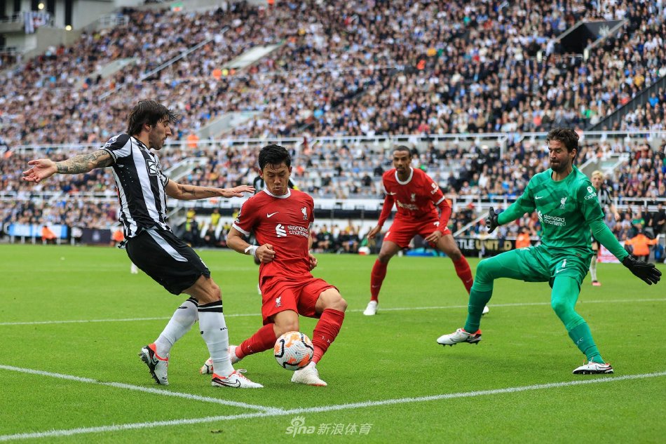 释放潜力 释放潜力